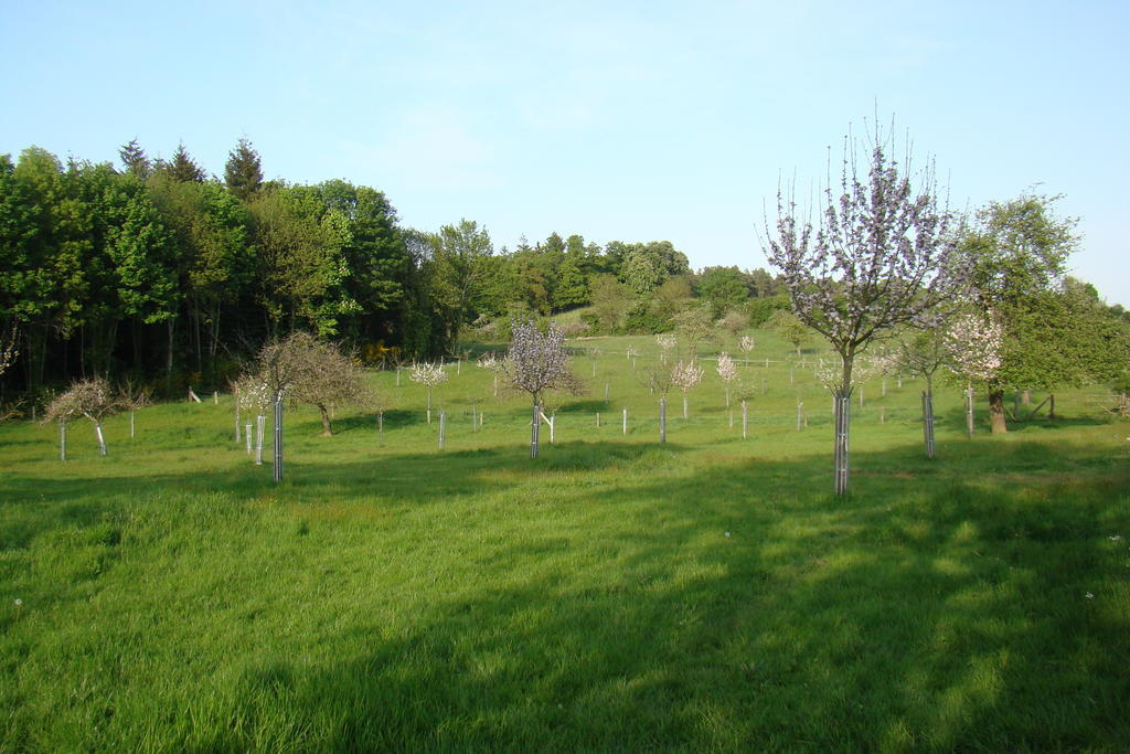 Gite De La Cour Campandre-Valcongrain Номер фото